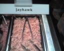 Jayhawk on the buffet